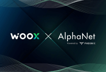 WOO và AlphaNet hợp tác cung cấp trải nghiệm Giao dịch AI mới cho người dùng